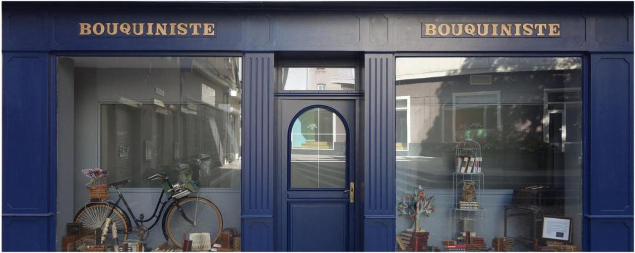 Le Bouquiniste, Centre Historique, Fibre, Ess, Rez-De-Chaussee, Bedinshop Romans-sur-Isère Kültér fotó