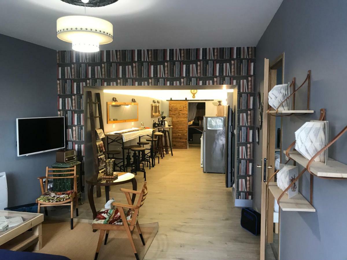 Le Bouquiniste, Centre Historique, Fibre, Ess, Rez-De-Chaussee, Bedinshop Romans-sur-Isère Kültér fotó