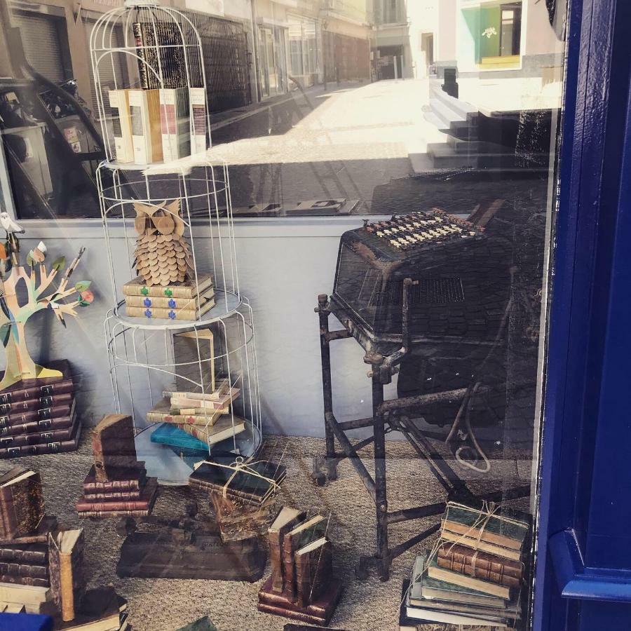 Le Bouquiniste, Centre Historique, Fibre, Ess, Rez-De-Chaussee, Bedinshop Romans-sur-Isère Kültér fotó